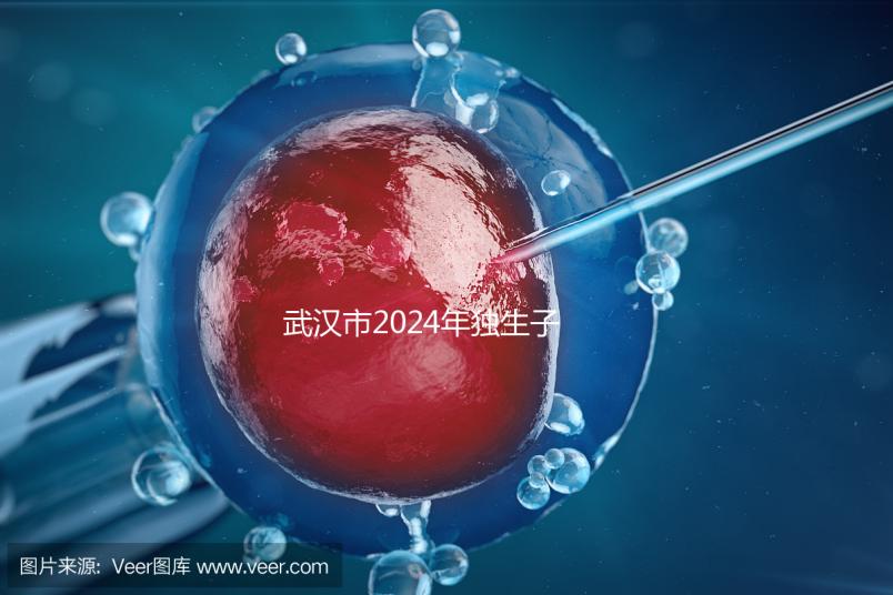 武漢市2024年獨(dú)生子女補(bǔ)貼政策已經(jīng)實(shí)施，領(lǐng)取流程更加規(guī)范