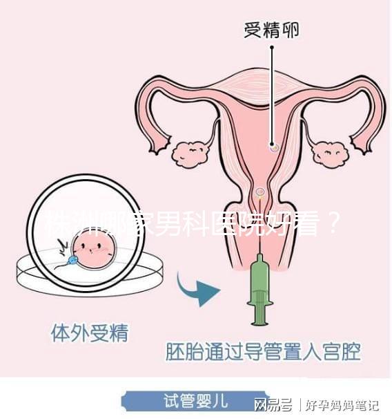 株洲哪家男科醫院好看？這位醫生的專業成本還很低