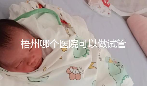 梧州哪個醫院可以做試管嬰兒？“過來人”分享試管費用明細