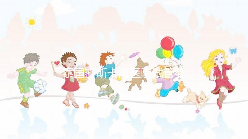 泰國密斯卡灣醫院試管嬰兒價格指南附項目及費用明細！