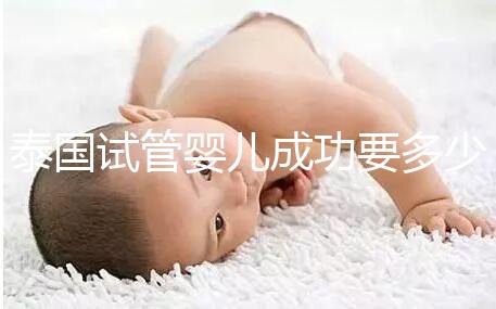 泰國試管嬰兒成功要多少錢？不成功怎么辦？