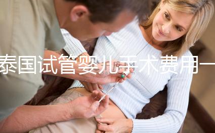 泰國試管嬰兒手術費用一覽，2025年價格行情