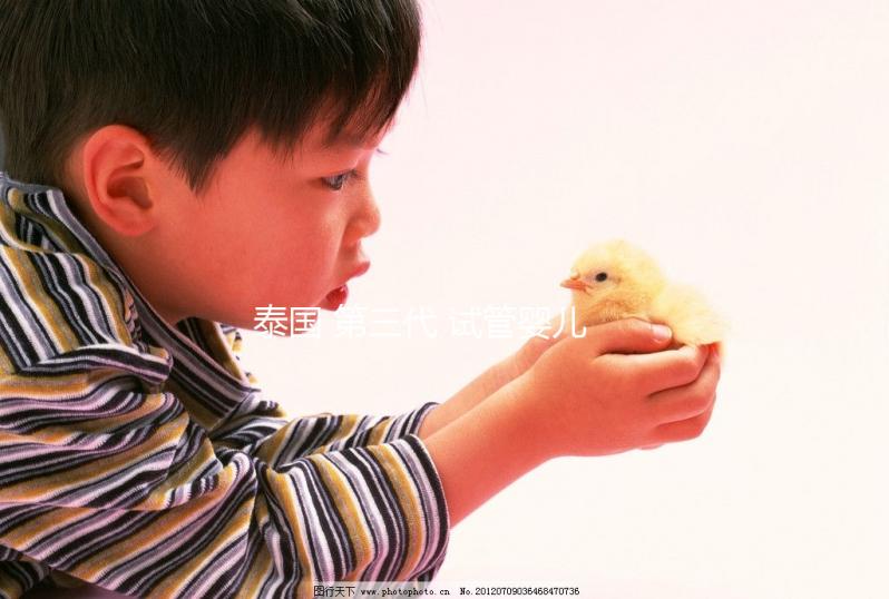 泰國 第三代 試管嬰兒(泰國 第三代 試管嬰兒費(fèi)用)