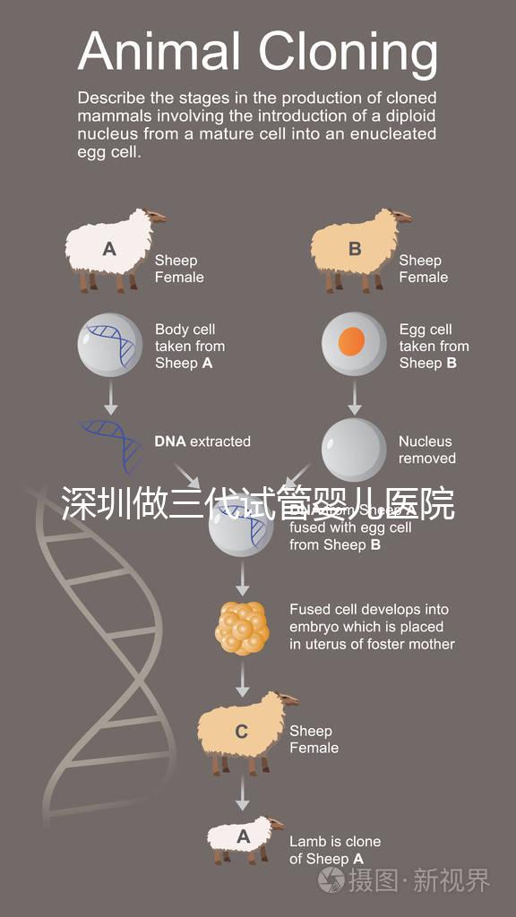 深圳做三代試管嬰兒醫院前10一覽，排名不分先后