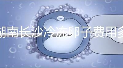湖南長(zhǎng)沙冷凍卵子費(fèi)用多少？中信湘雅盧光琇教授這樣說(shuō)...