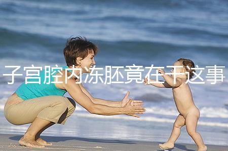 子宮腔內凍胚竟在干這事！移植第3、第4天狀態有差別