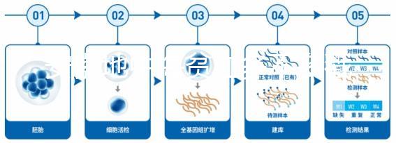 安徽地中海貧血多不多戳,合肥比例低也要早發(fā)現(xiàn)早治療