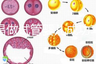宜昌做試管嬰兒成功率和費用多少？先看哪些醫(yī)院能做吧！