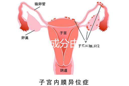 寶寶金水成分由這4種中藥材構(gòu)成,對(duì)寶寶有益無害