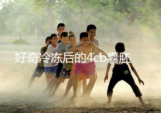 好奇冷凍后的4cb囊胚移植幾天著床看這，第七天別還不敢測