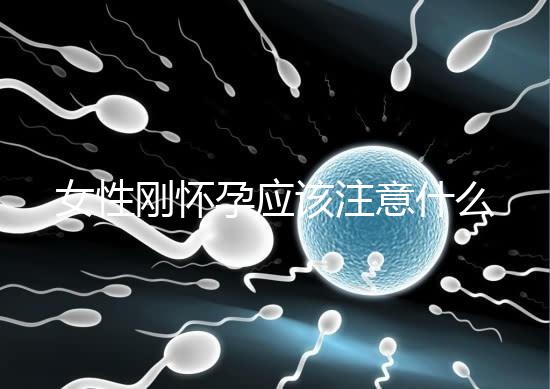 女性剛懷孕應該注意什么？