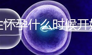 女性懷孕什么時候開始更準(zhǔn)確？