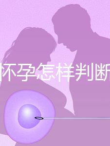 女性懷孕怎樣判斷出來