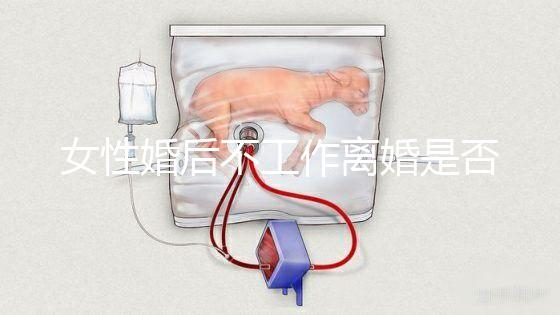 女性婚后不工作離婚是否還錢有規定，如何處理需要早知道