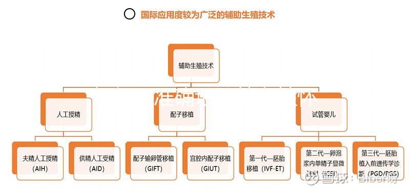 如何更準(zhǔn)確地計算女性懷孕時間？