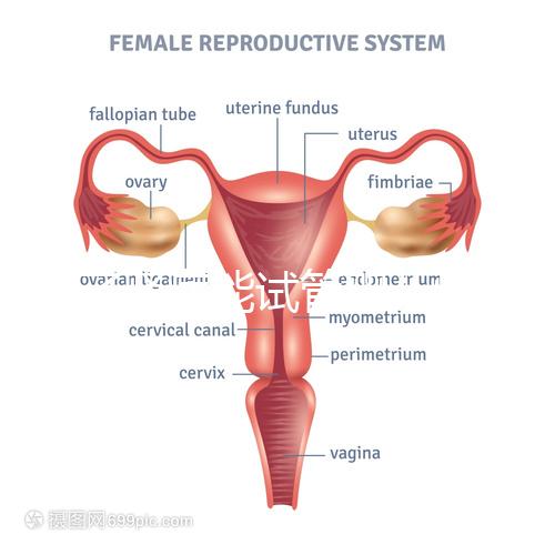 得了腎病能試管嬰兒懷孕嗎？哪些腎臟病不適宜懷孕？
