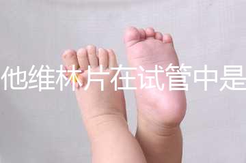 屈他維林片在試管中是否有副作用，導(dǎo)致胎停不是空穴來(lái)風(fēng)