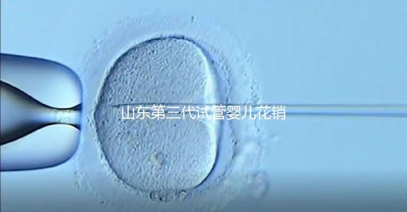 山東第三代試管嬰兒花銷全解析：詳細價格一覽，輕松做好預(yù)算準備