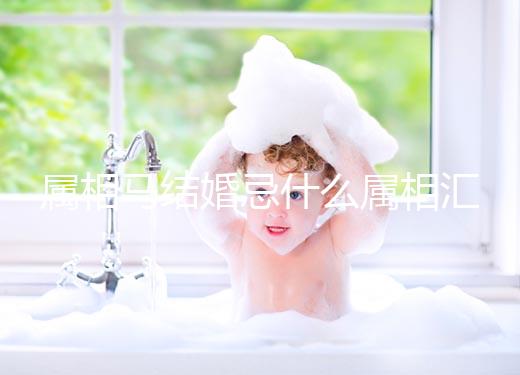 屬相馬結(jié)婚忌什么屬相匯總，2023和鼠、牛真相克請三思