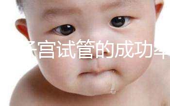 弓形子宮試管的成功率在這里有多少答案？這樣做著床并不難