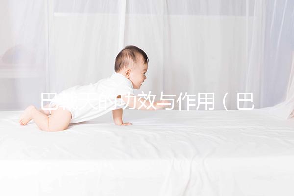 巴戟天的功效與作用（巴戟天配什么壯陽(yáng)最猛）