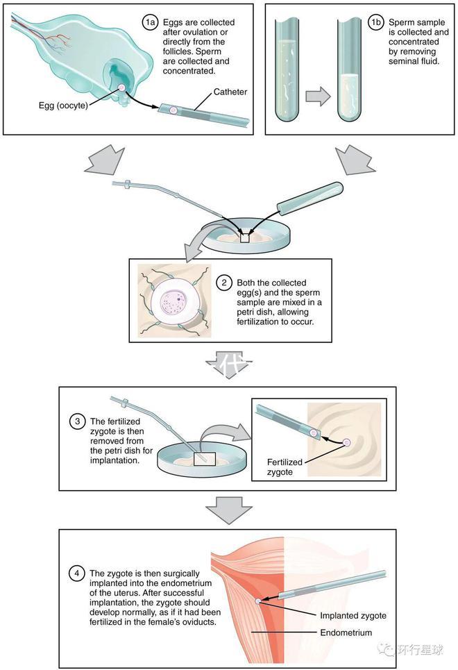 廣東10家三代試管醫(yī)院的熱度排名！
