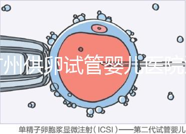 廣州供卵試管嬰兒醫(yī)院匯總，真實(shí)案例告訴你廣東哪家最好