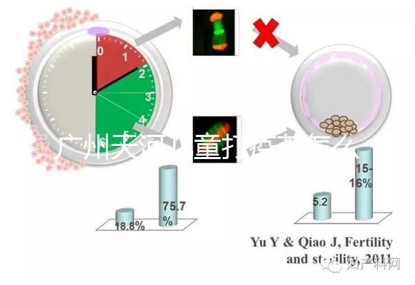 廣州天河兒童打疫苗怎么網上預約，這份APP使用指南快看