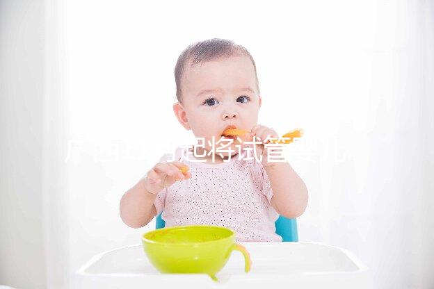 廣西11月起將試管嬰兒等醫療服務納入醫保范圍 每人最多報銷2次 最高可報銷70%