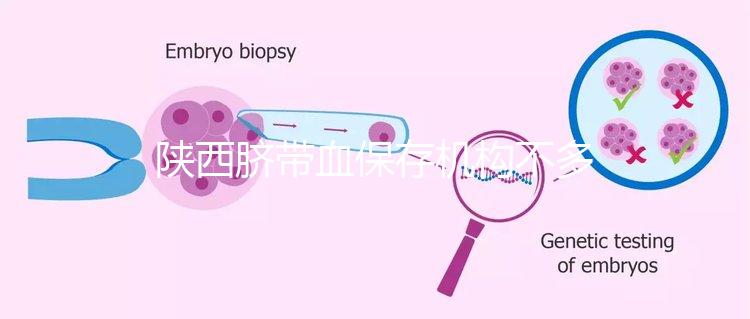 陜西臍帶血保存機構不多，咸陽想自存請準備好費用去合肥