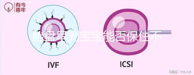 胎盤早剝寶寶能否保住不一定!及時(shí)治療和護(hù)理很重要