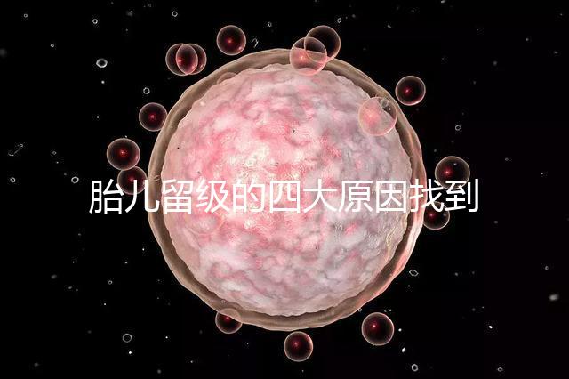 胎兒留級的四大原因找到了！多半和媽媽太懶不運動有關系