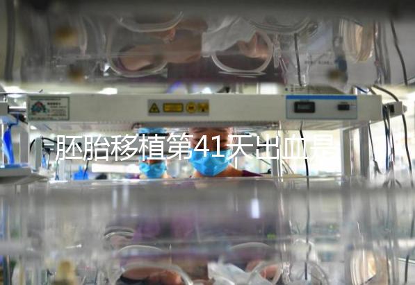 胚胎移植第41天出血是流產(chǎn)信號?這幾種出血沒必要擔心