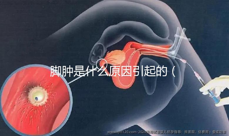 腳腫是什么原因引起的（腳腫是什么原因引起的？女性）