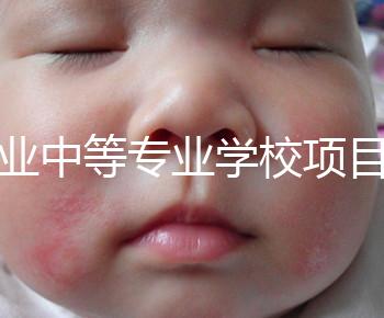 職業(yè)中等專業(yè)學(xué)校項目(中等職業(yè)學(xué)校專業(yè)建設(shè)規(guī)劃實施方案)