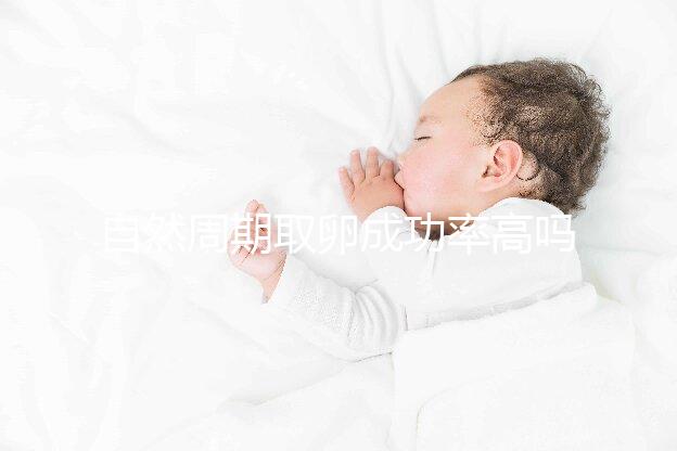 自然周期取卵成功率高嗎?過來人淺談一次成功經(jīng)驗