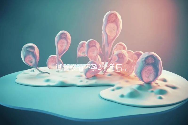 試管移植懷孕2個月后，還能不能吃酸筍田螺？