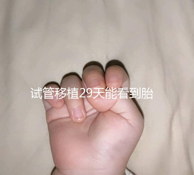 試管移植29天能看到胎心嗎？B超還能看孕囊大小和胎心