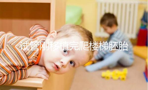 試管剛移植完爬樓梯胚胎會(huì)掉出來(lái)是謠言！這3大影響了解下