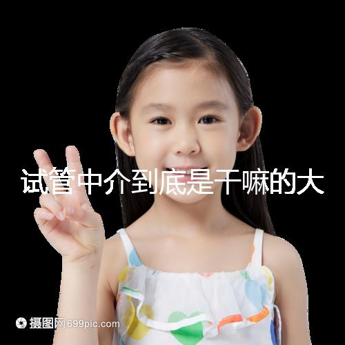 試管中介到底是干嘛的大揭秘！不合法機構真不可靠