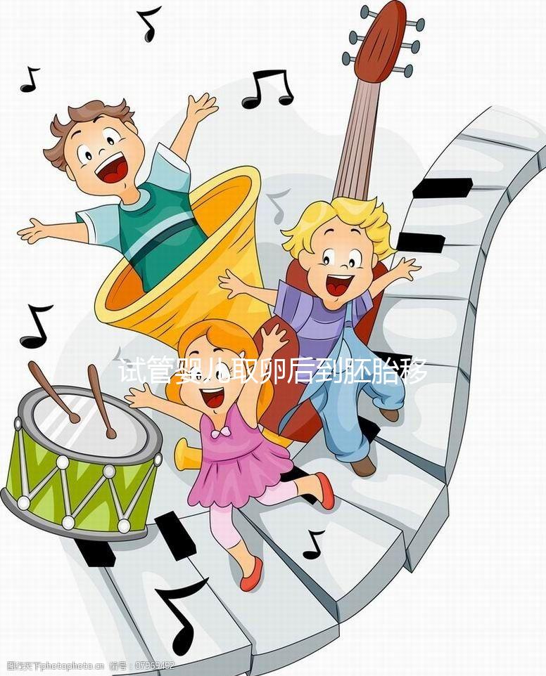 試管嬰兒取卵后到胚胎移植需要多久