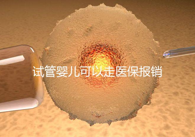 試管嬰兒可以走醫(yī)保報銷嗎？2025年最新費用標準及政策解讀