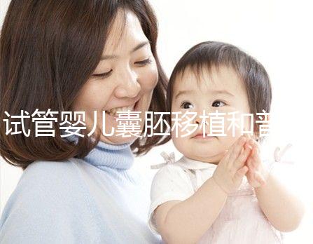 試管嬰兒囊胚移植和普通胚胎移植，有何區別？