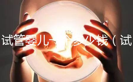 試管嬰兒一個多少錢（試管嬰兒多錢一次）