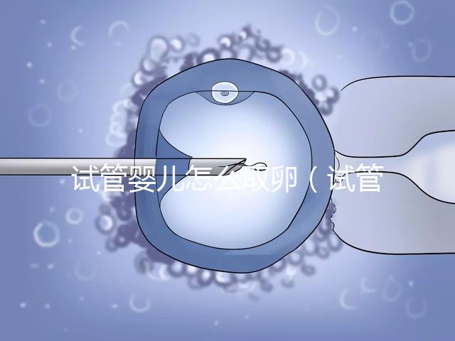 試管嬰兒怎么取卵（試管嬰兒怎么取卵過(guò)程視頻）