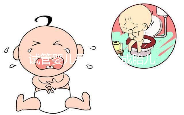 試管嬰兒是如何變成胎兒的？一組3D圖告訴你，心疼受苦的媽媽