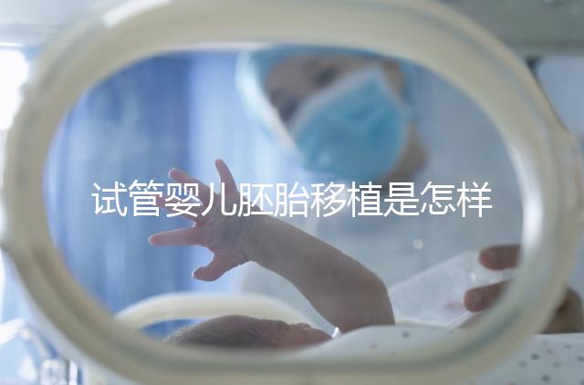 試管嬰兒胚胎移植是怎樣的過程？