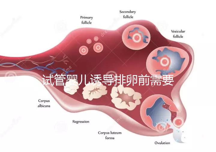 試管嬰兒誘導排卵前需要做哪些準備工作？