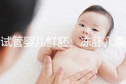 試管嬰兒鮮胚、凍胚、囊胚移植區(qū)別，看完秒懂怎么選