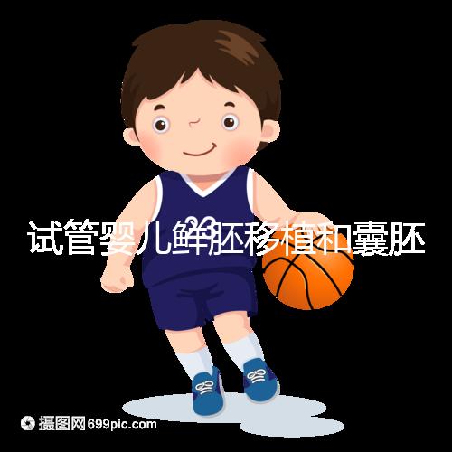 試管嬰兒鮮胚移植和囊胚移植的區(qū)別！哪個成功率高看完便知曉